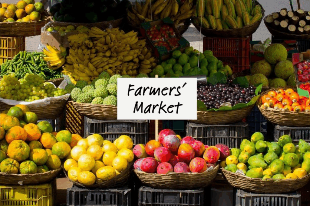 Organic Farming and Produce Supply to Urban Markets