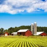 best business ideas in village