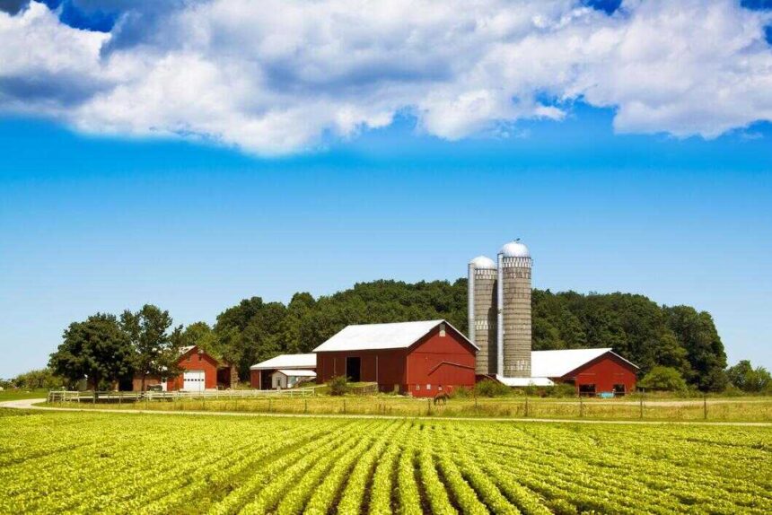best business ideas in village